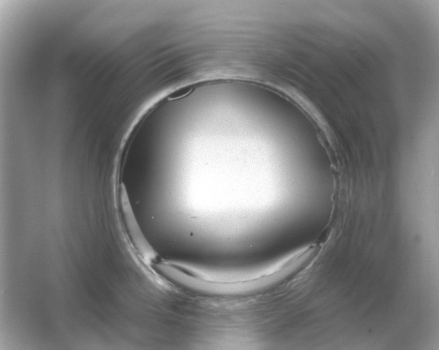 X0000066001246200603242023