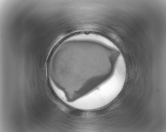 X0000066001275200603242022