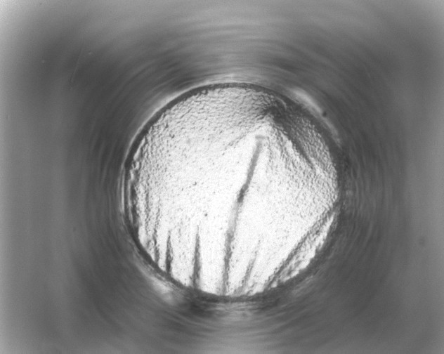 X0000066001276200603242022