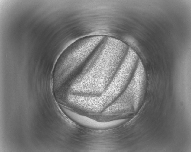 X0000066001284200603242022