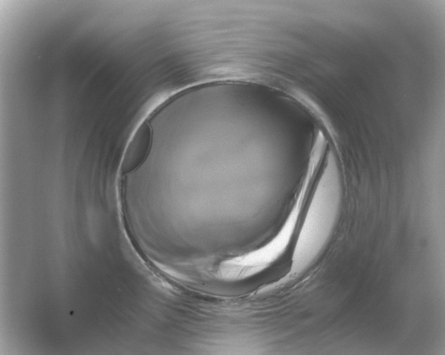 X0000066001291200603242022