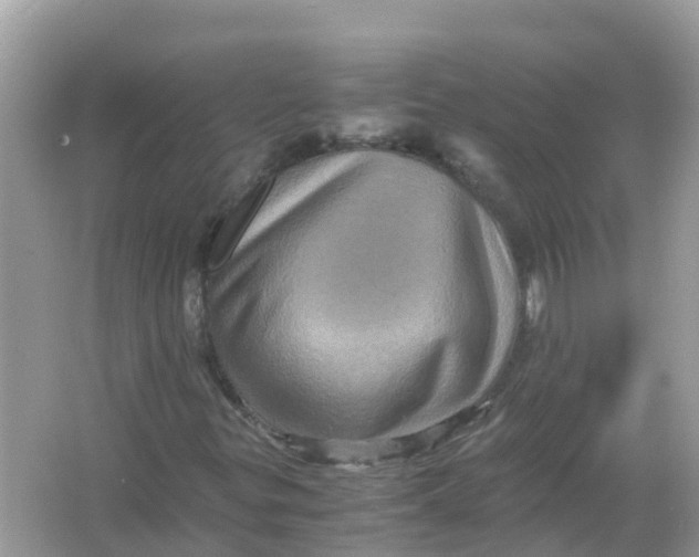 X0000066001299200603242021