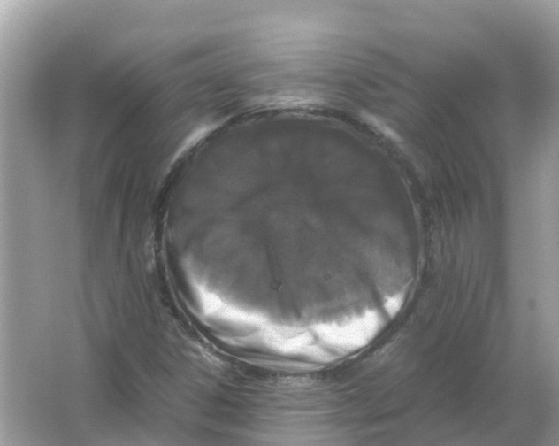 X0000066001306200603242021