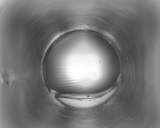 X0000066001326200603242021