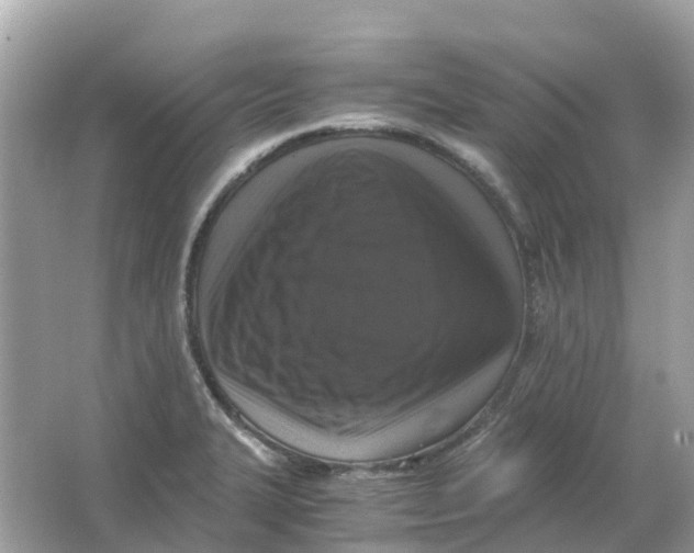 X0000066001327200603242021