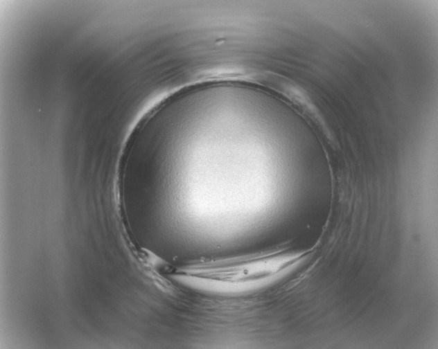 X0000066001328200603242021