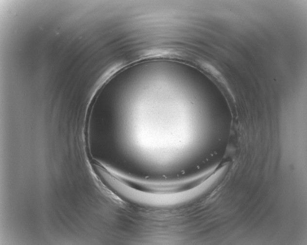 X0000066001330200603242021