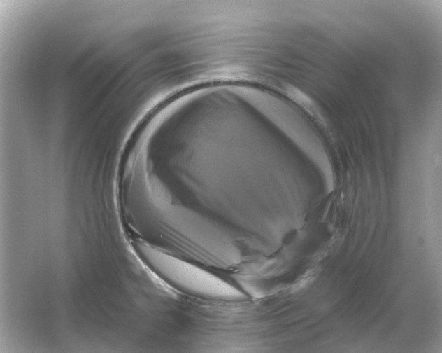 X0000066001334200603242021