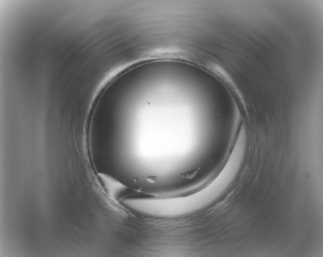 X0000066001336200603242021