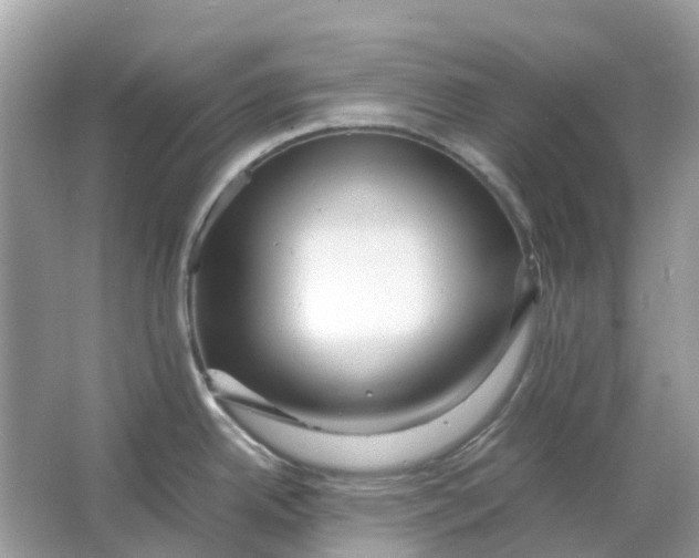 X0000066001342200603242022