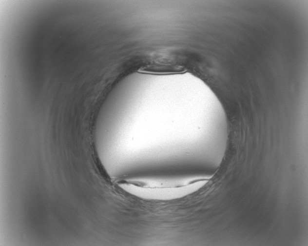 X0000066001345200603242021