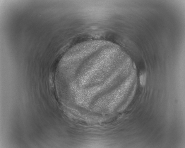 X0000066001347200603242021