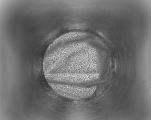 X0000066001350200603242021