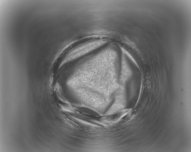 X0000066001352200603242021
