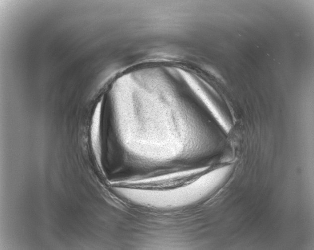 X0000066001355200603242021