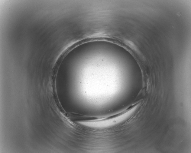 X0000066001356200603242021