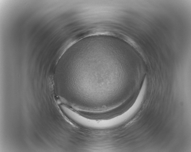 X0000066001377200603242020