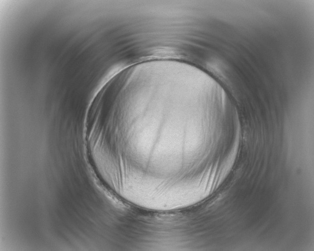 X0000066001378200603242020