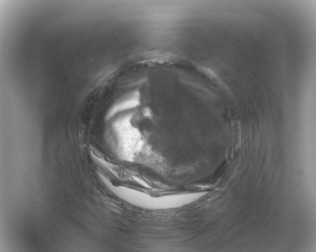 X0000066001399200603242019