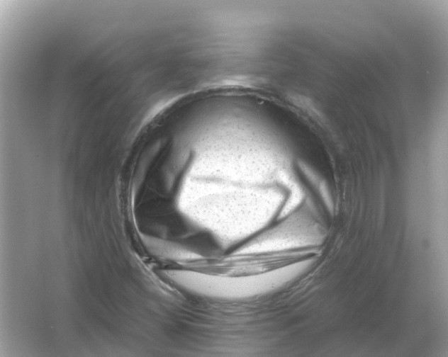 X0000066001404200603242019
