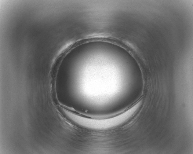 X0000066001406200603242019