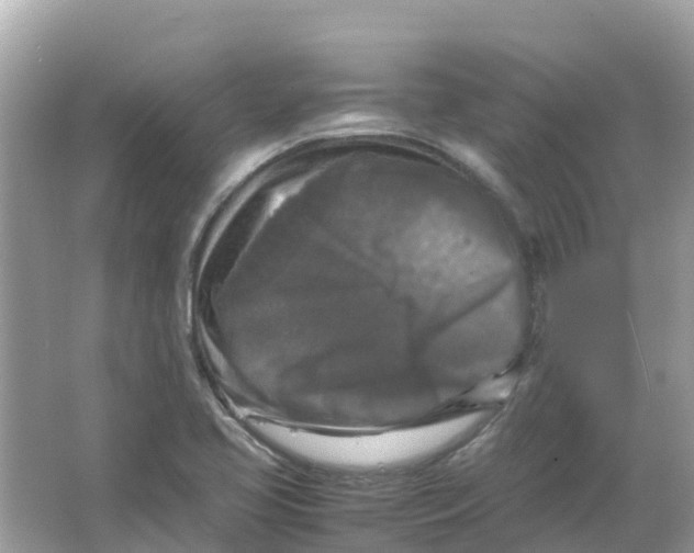 X0000066001413200603242019