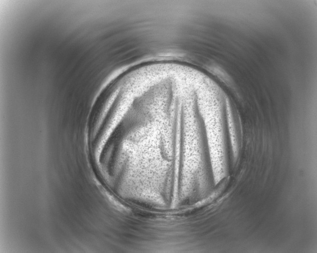 X0000066001420200603242020