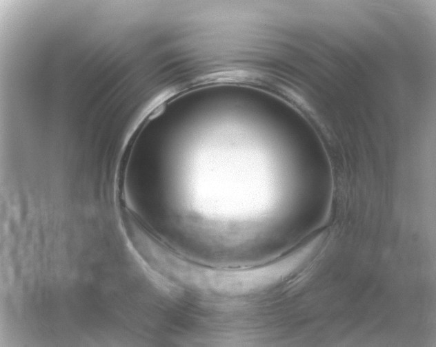X0000066001426200603242020