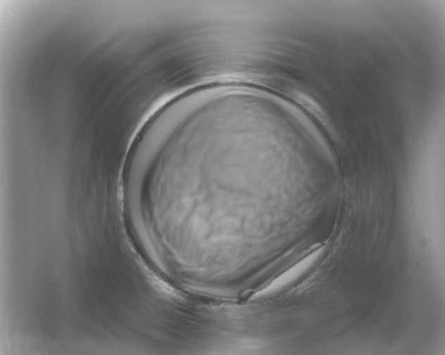 X0000066001428200603242020