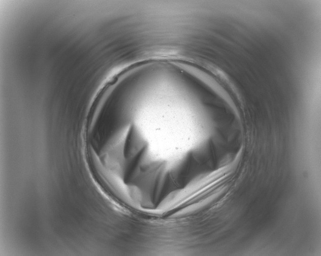 X0000066001432200603242020