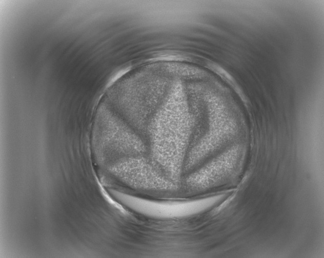 X0000066001433200603242020