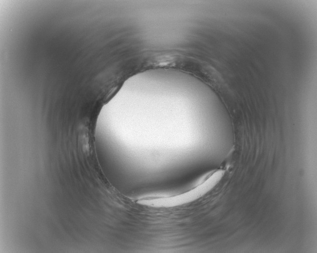 X0000066001442200603242019