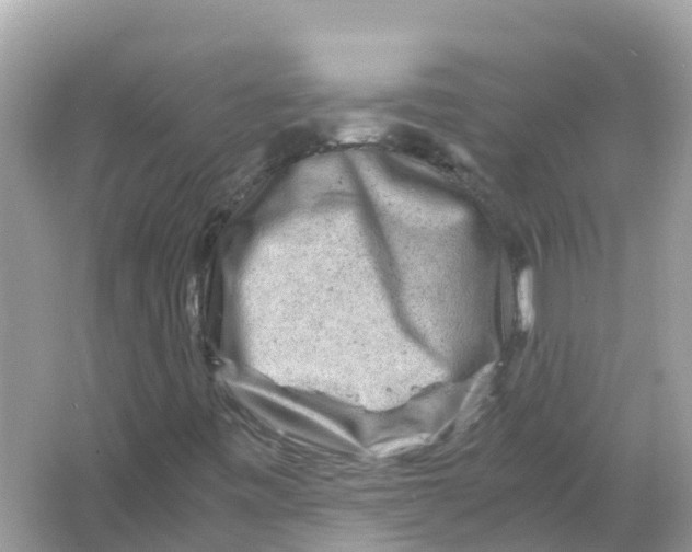 X0000066001443200603242019