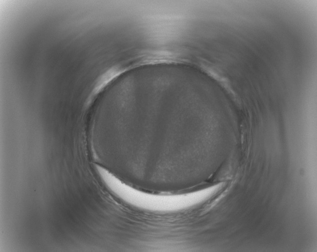 X0000066001453200603242019