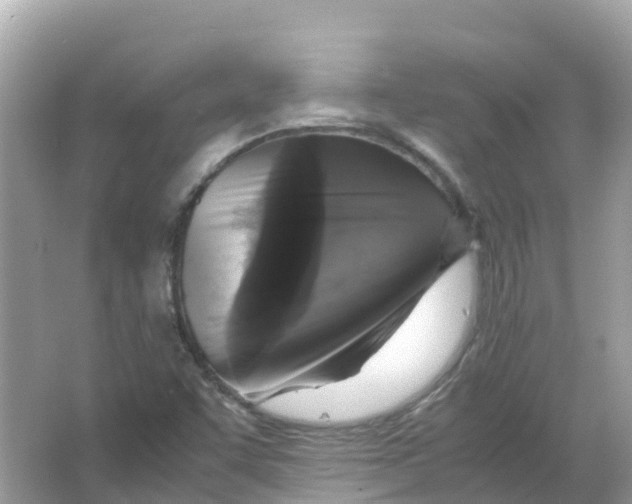 X0000066001455200603242019