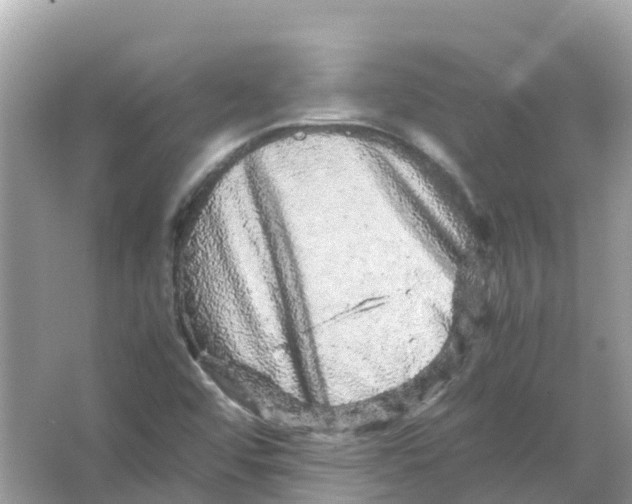 X0000066001456200603242019