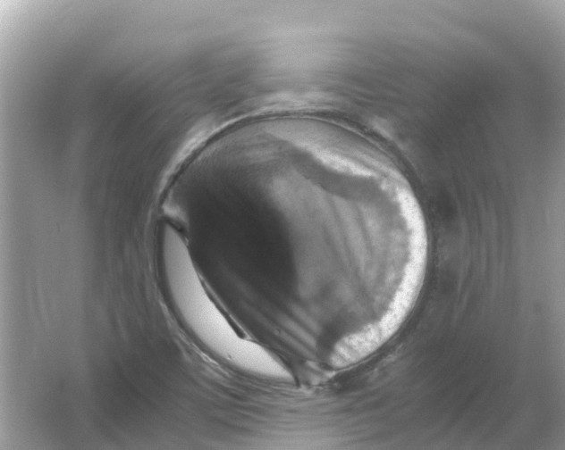 X0000066001459200603242019