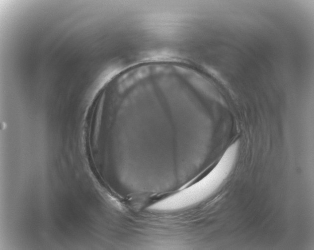 X0000066001463200603242019