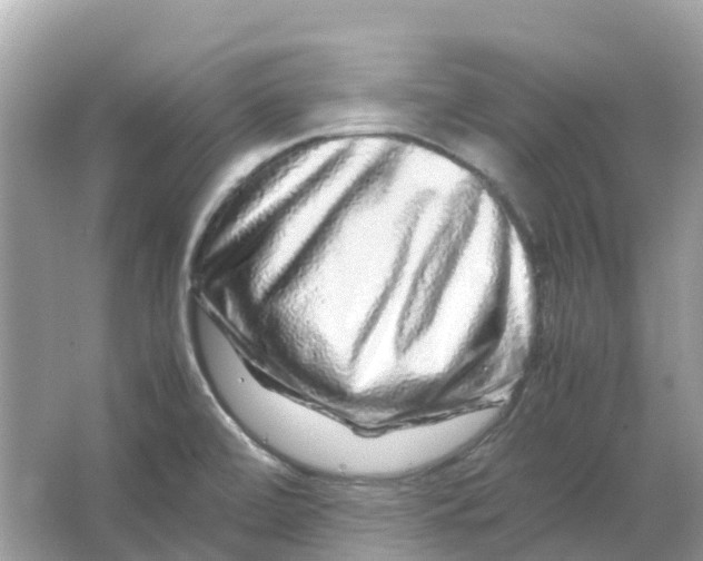 X0000066001472200603242019