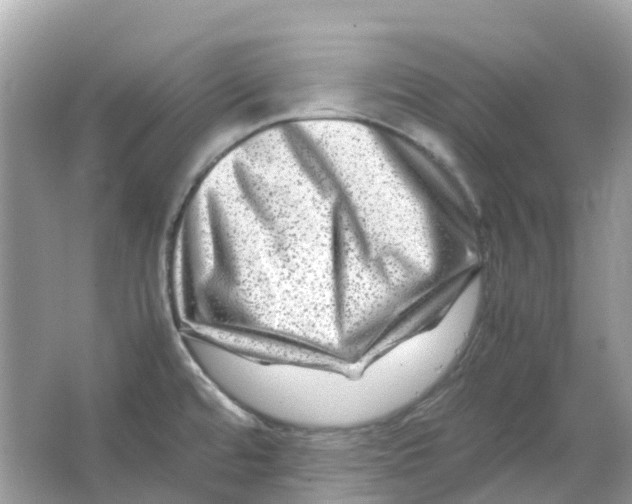 X0000066001480200603242018
