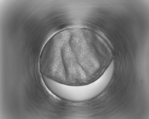 X0000066001484200603242018