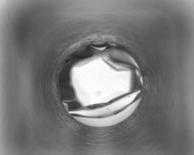 X0000066001489200603242017
