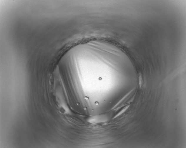 X0000066001492200603242018
