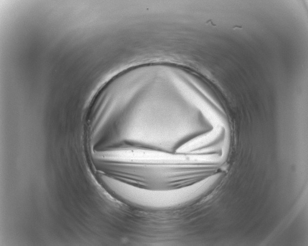 X0000066001500200603242018