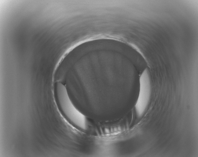 X0000066001508200603242018