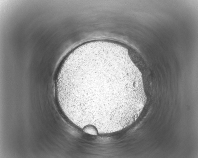 X0000066001509200603242018