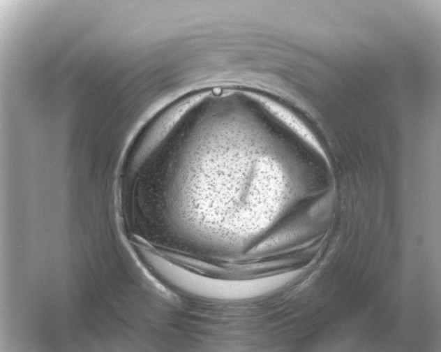 X0000066001517200603242018