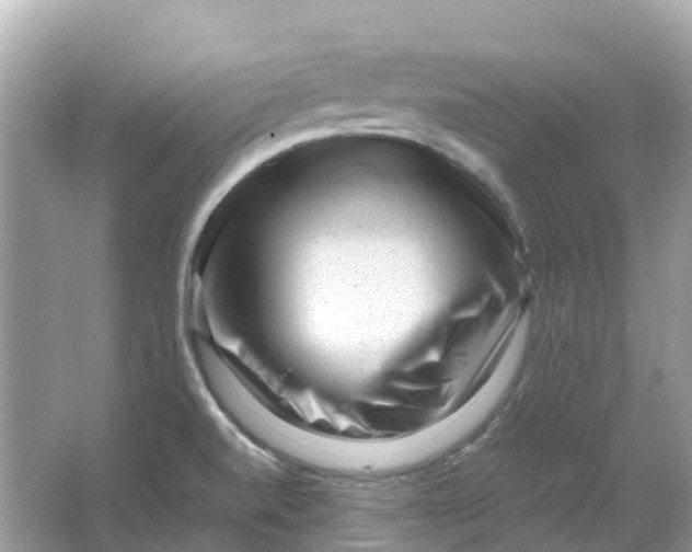 X0000066001520200603242018
