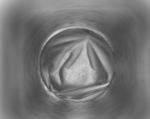 X0000066001534200603242018