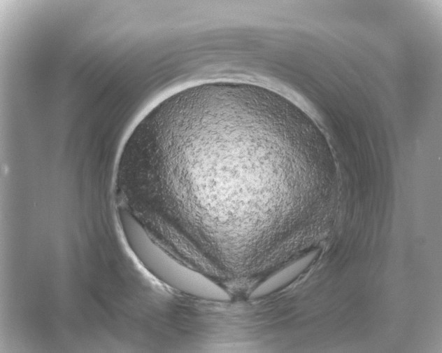 X0000066001536200603242018